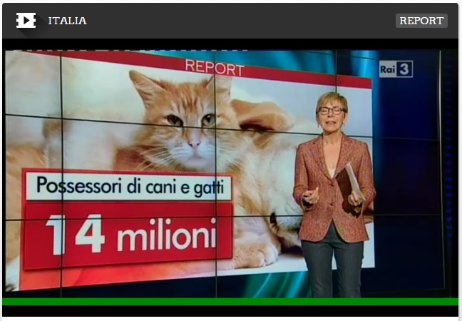 trasmissione report crocchette per animali